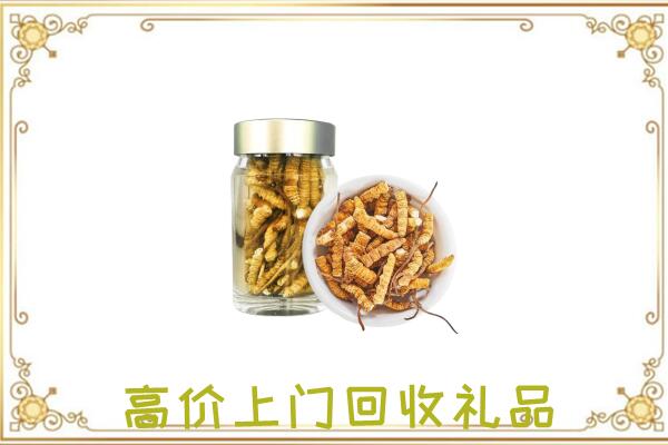 西峰周边回收虫草